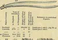 Picture 66 of 115 from The gardener's magazine and register of rural & domestic improvement (1826), leaf 277