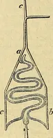 An illustration from The gardener's magazine and register of rural & domestic improvement (1826)