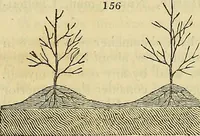 An illustration from The gardener's magazine and register of rural & domestic improvement (1826)