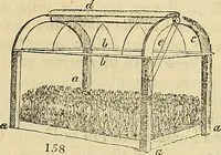 Picture 108 of 115 from The gardener's magazine and register of rural & domestic improvement (1826), leaf 433