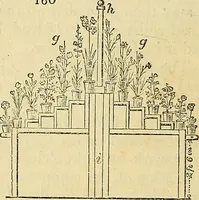 An illustration from The gardener's magazine and register of rural & domestic improvement (1826)