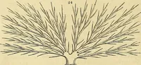 An illustration from The gardener's magazine and register of rural & domestic improvement (1826)
