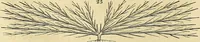 An illustration from The gardener's magazine and register of rural & domestic improvement (1826)