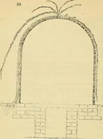 Picture 29 of 101 from The gardener's magazine and register of rural & domestic improvement (1826), leaf 148