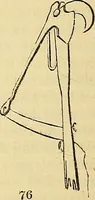 Picture 56 of 101 from The gardener's magazine and register of rural & domestic improvement (1826), leaf 222