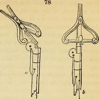 An illustration from The gardener's magazine and register of rural & domestic improvement (1826)