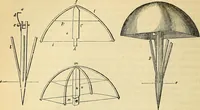 Picture 59 of 101 from The gardener's magazine and register of rural & domestic improvement (1826), leaf 234