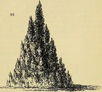 Picture 70 of 101 from The gardener's magazine and register of rural & domestic improvement (1826), leaf 277