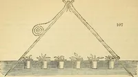 An illustration from The gardener's magazine and register of rural & domestic improvement (1826)