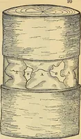 Picture 13 of 91 from The gardener's magazine and register of rural & domestic improvement (1826), leaf 187