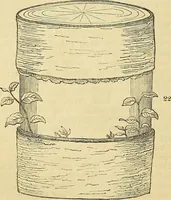 An illustration from The gardener's magazine and register of rural & domestic improvement (1826)