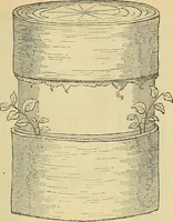 An illustration from The gardener's magazine and register of rural & domestic improvement (1826)