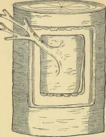 An illustration from The gardener's magazine and register of rural & domestic improvement (1826)