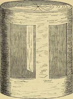 An illustration from The gardener's magazine and register of rural & domestic improvement (1826)