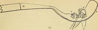 An illustration from The gardener's magazine and register of rural & domestic improvement (1826)