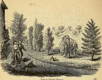 An illustration from The gardener's magazine and register of rural & domestic improvement (1826)