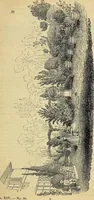 An illustration from The gardener's magazine and register of rural & domestic improvement (1826)