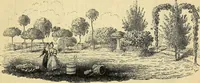 An illustration from The gardener's magazine and register of rural & domestic improvement (1826)
