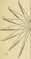 An illustration from The gardener's magazine and register of rural & domestic improvement (1826)