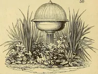 Picture 46 of 91 from The gardener's magazine and register of rural & domestic improvement (1826), leaf 338