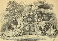 An illustration from The gardener's magazine and register of rural & domestic improvement (1826)