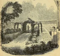 An illustration from The gardener's magazine and register of rural & domestic improvement (1826)