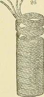 An illustration from The gardener's magazine and register of rural & domestic improvement (1826)