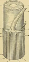 An illustration from The gardener's magazine and register of rural & domestic improvement (1826)