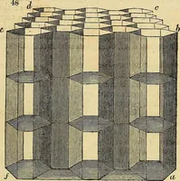 An illustration from The gardener's magazine and register of rural & domestic improvement (1826)