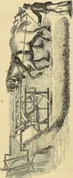 An illustration from The gardener's magazine and register of rural & domestic improvement (1826)
