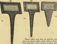 Picture 56 of 102 from The gardener's magazine and register of rural & domestic improvement (1826), leaf 319