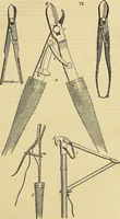 An illustration from The gardener's magazine and register of rural & domestic improvement (1826)