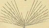 An illustration from The gardener's magazine and register of rural & domestic improvement (1826)