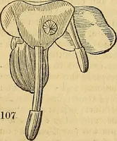 An illustration from The gardener's magazine and register of rural & domestic improvement (1826)
