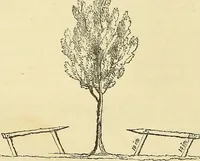An illustration from The gardener's magazine and register of rural & domestic improvement (1826)