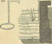Picture 40 of 66 from The gardener's magazine and register of rural & domestic improvement (1826), leaf 342