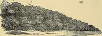 An illustration from The gardener's magazine and register of rural & domestic improvement (1826)