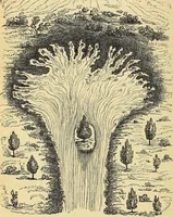 An illustration from The gardener's magazine and register of rural & domestic improvement (1826)