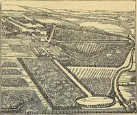 Picture 38 of 114 from The gardener's magazine and register of rural & domestic improvement (1826), leaf 302