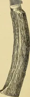 An illustration from The gardener's magazine and register of rural & domestic improvement (1826)