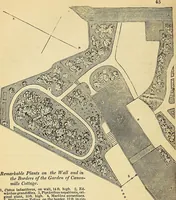 Picture 55 of 114 from The gardener's magazine and register of rural & domestic improvement (1826), leaf 358
