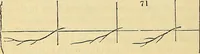 An illustration from The gardener's magazine and register of rural & domestic improvement (1826)
