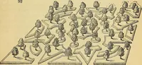 An illustration from The gardener's magazine and register of rural & domestic improvement (1826)