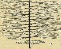 An illustration from The gardener's magazine and register of rural & domestic improvement (1826)