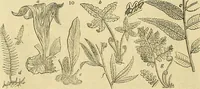 An illustration from The gardener's magazine and register of rural & domestic improvement (1826)