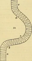 An illustration from The gardener's magazine and register of rural & domestic improvement (1826)