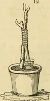 An illustration from The gardener's magazine and register of rural & domestic improvement (1826)