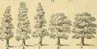 An illustration from The gardener's magazine and register of rural & domestic improvement (1826)