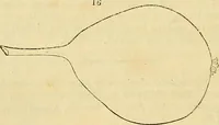 An illustration from The gardener's magazine and register of rural & domestic improvement (1826)