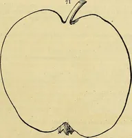 An illustration from The gardener's magazine and register of rural & domestic improvement (1826)